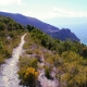 Cap_Corse_chemin_entre_Olcani_Nonza